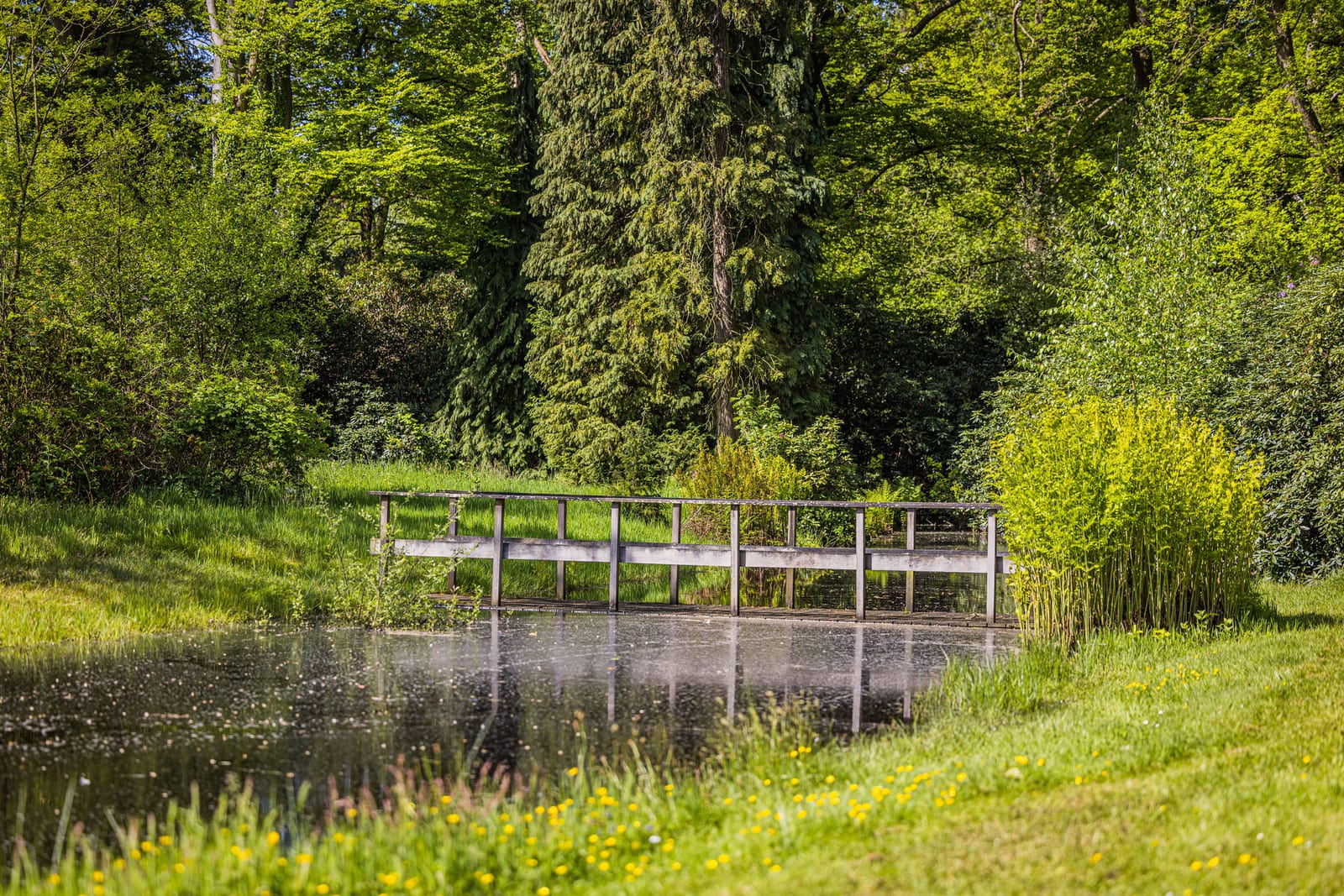 Landgoed Luchtenburg, foto 5