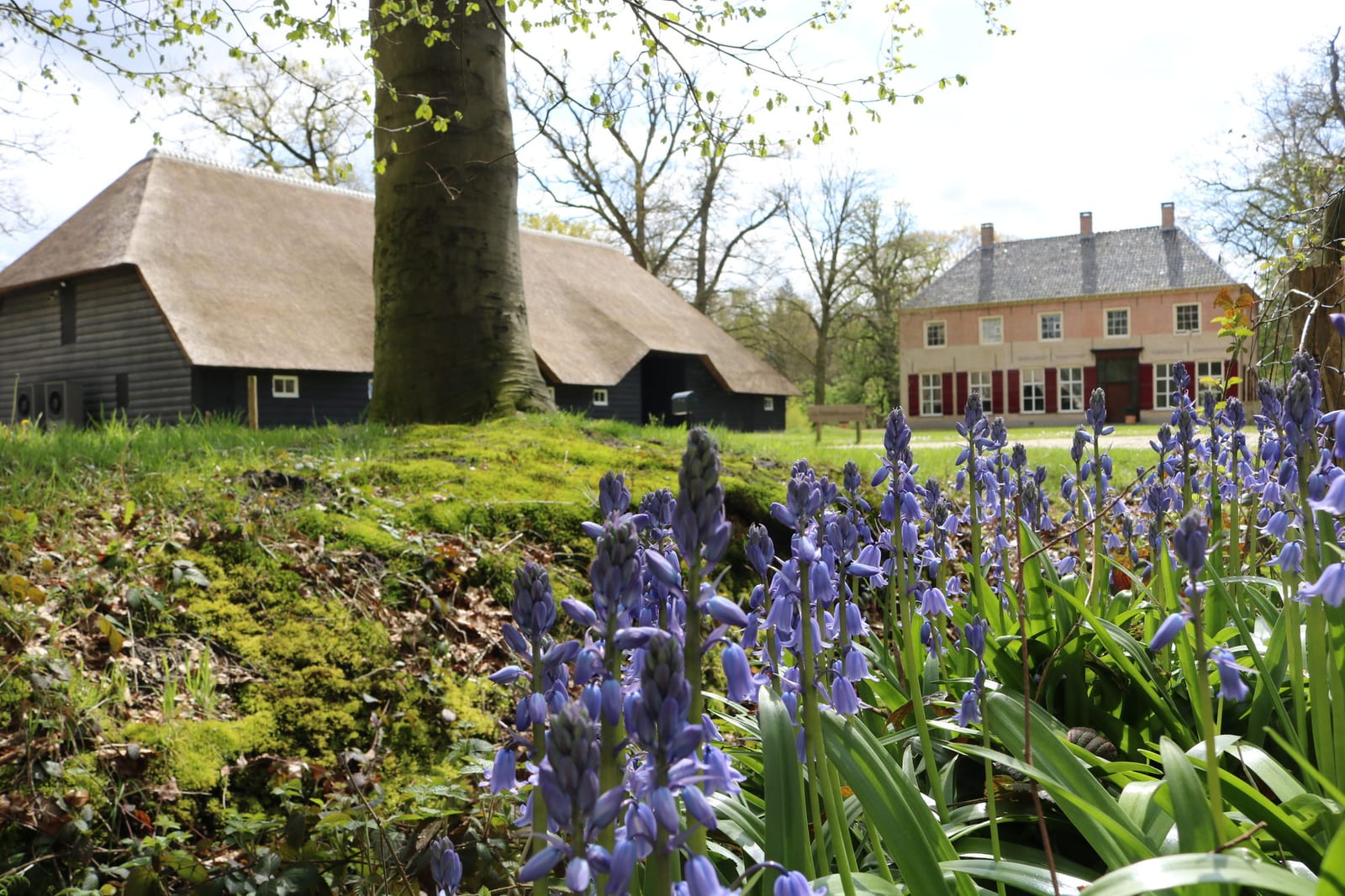 Landgoed Luchtenburg, foto 2