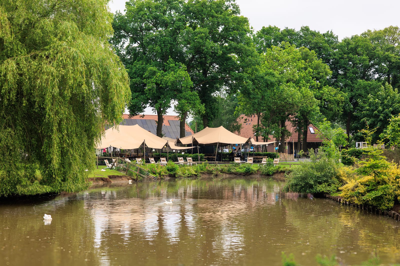 Landgoed Het Rheins in Enter
