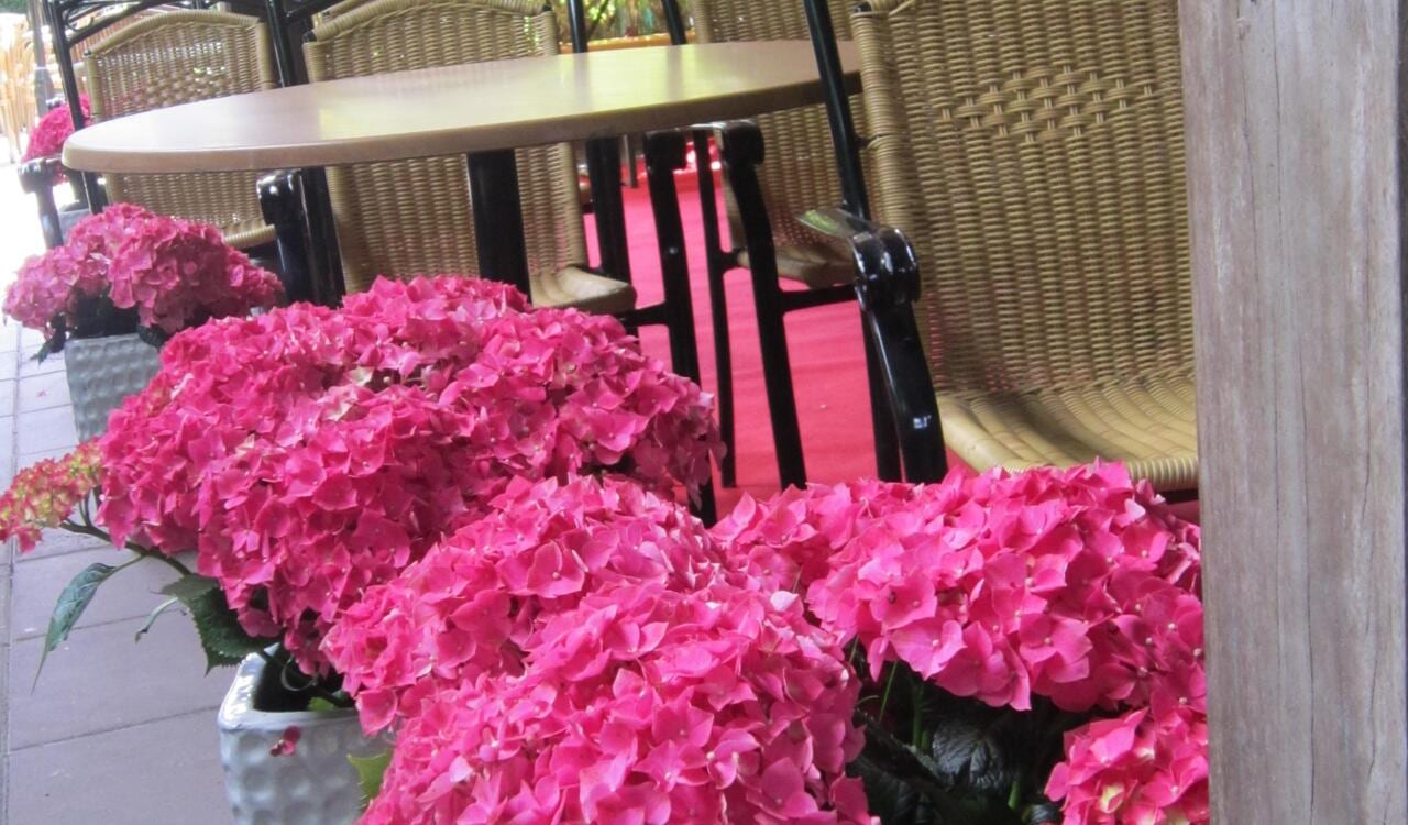 Auberge Het Oude Tolhuys, foto 4