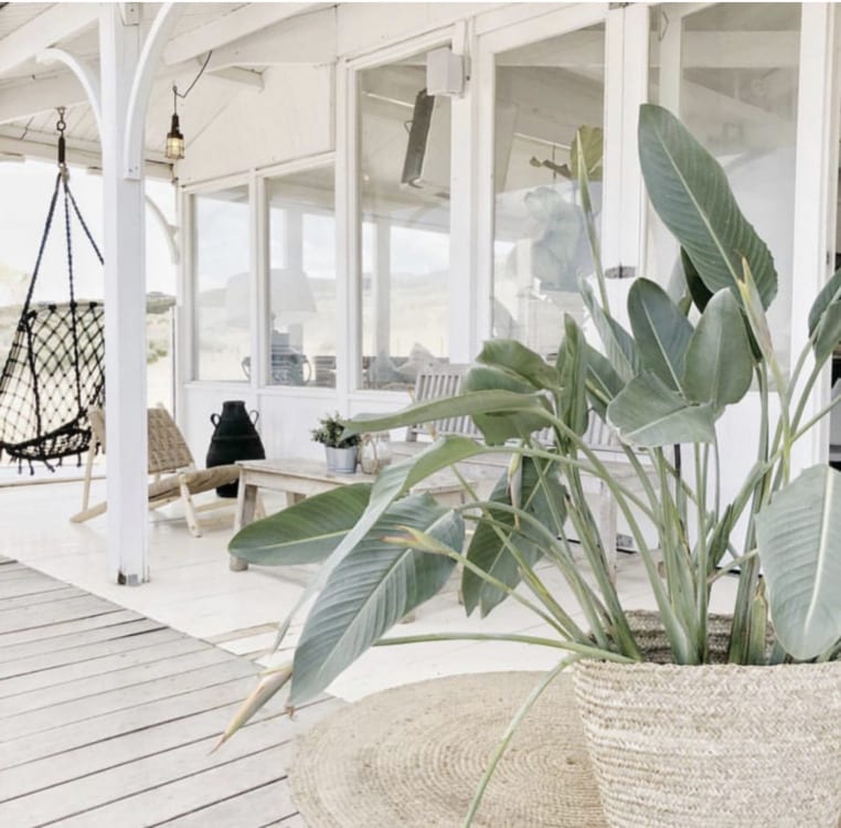 Beachclub Naturel, foto 4