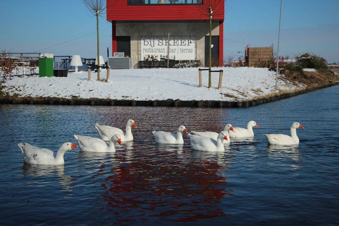 bij SKEEF in Heerhugowaard