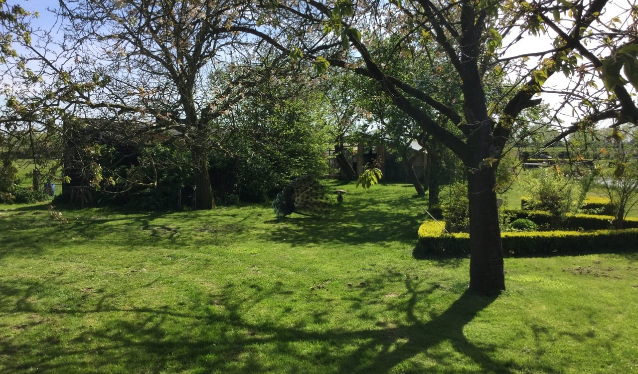 Boerderij de Vrije Geest, foto 5