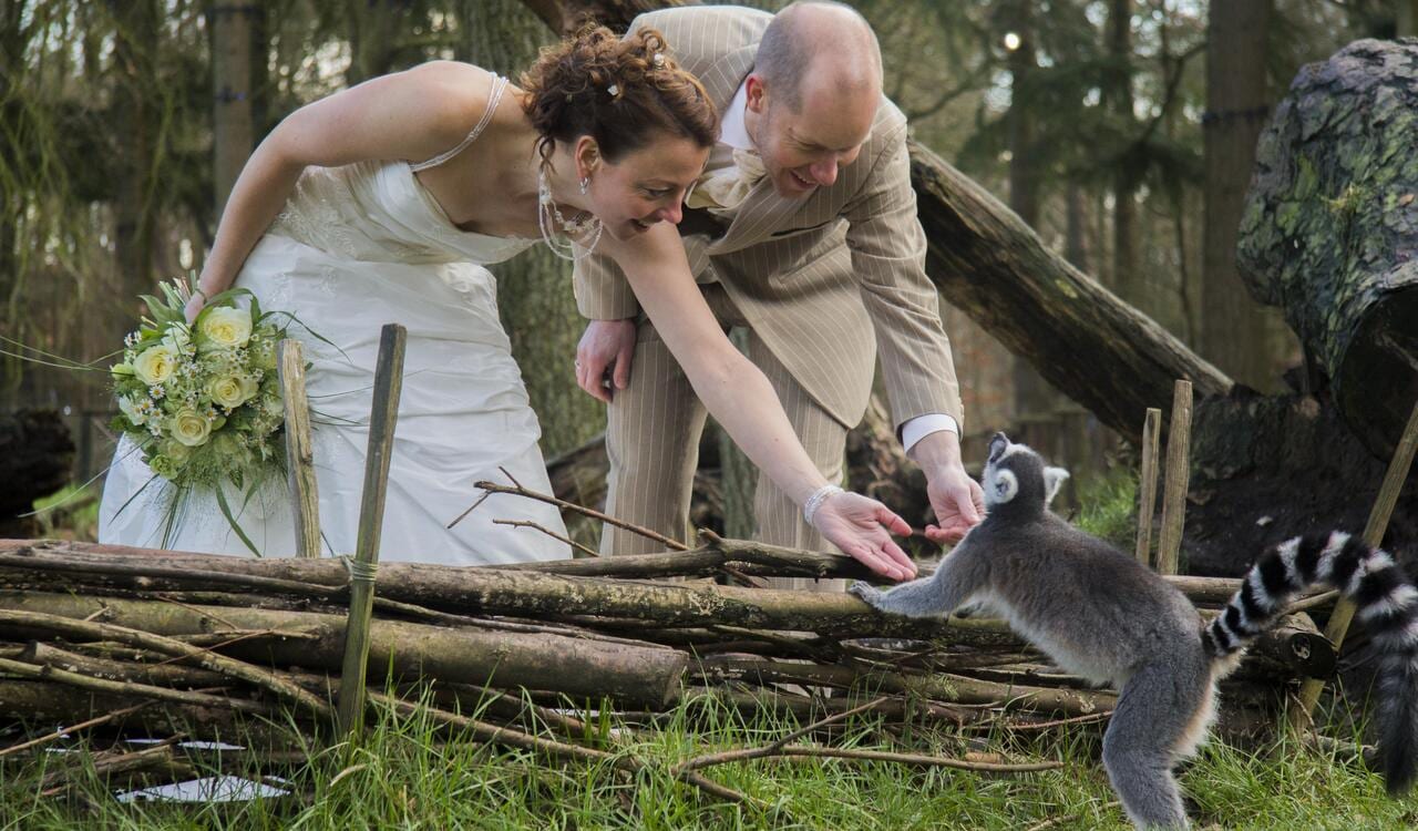 DierenPark Amersfoort, foto 4