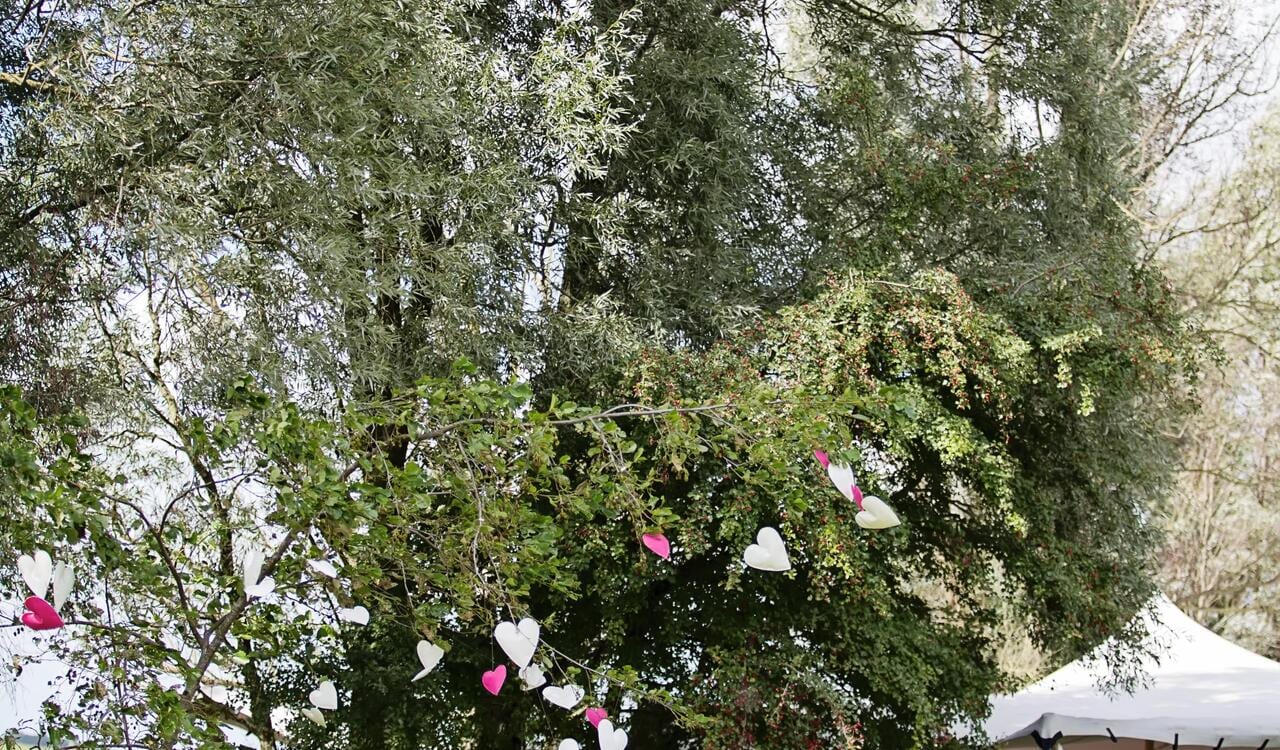 Natuurlijk Kollumeroord, foto 3
